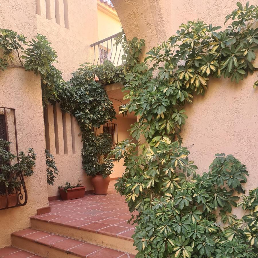 Apartamento En Lujoso Puerto Deportivo Алтеа Екстер'єр фото